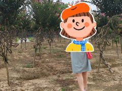 -武汉紫薇都市田园