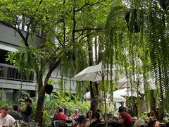 -Fern Forest Cafe