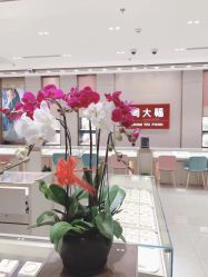 -周大福CHOW TAI FOOK(长寿路189弄购物中心店)