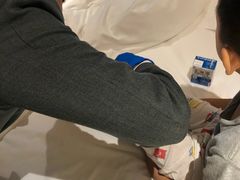 -新加坡瑞士史丹福酒店