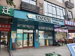-安安宠医·臻爱宠物医院·宠保定点(营门口路分院)