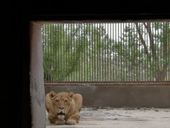 -太原动物园