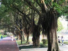 -南宁南湖公园