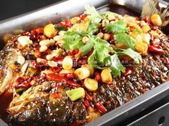 -老板恋上鱼(印象城店)