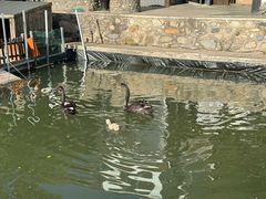 -荷塘味道(水长城店)