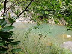 -广州白江湖森林公园