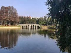-四海公园(南山区)