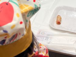 -超级奈尔宝SUPER NEOBIO(杭州星光店)