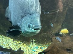 -嘉兴海底世界