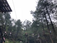 -梦幻奥陶纪景区