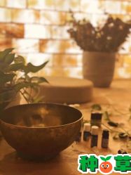 -芳香乐府疗愈空间·SPA·冥想