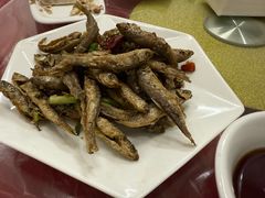 -品雅轩农家乐