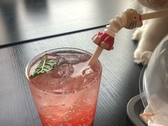 -房东的猫宠物生活馆