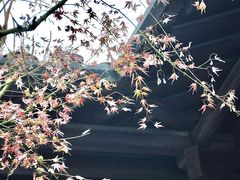 -胡雪岩故居
