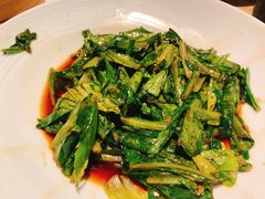 豉汁油麦菜-绿茶餐厅(领展购物广场·中关村店)
