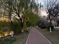 -南翠屏公园
