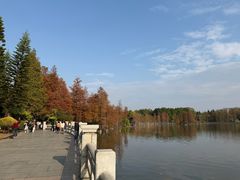 -海珠湖公园