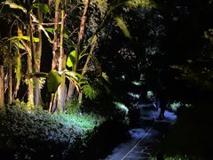 -腾冲洞山温泉村