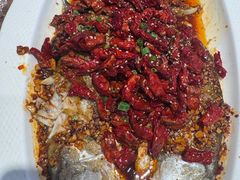 -俭寨大盘鸡·手抓肉·烧烤新疆菜(乌苏路店)