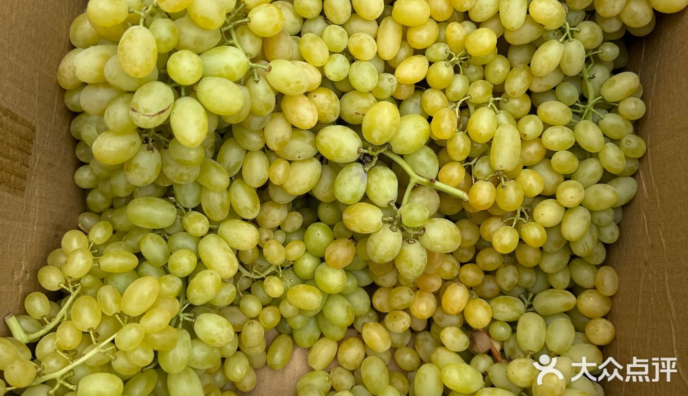 新疆的水果为什么这么好吃呢？