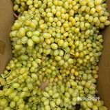 新疆的水果为什么这么好吃呢？