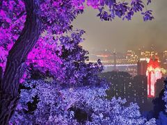 -老幺泉水鸡