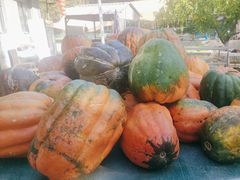 -穆湖渔村饭庄·住宿·钓鱼