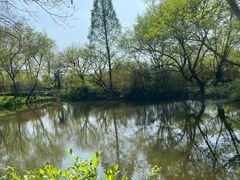 -西溪国家湿地公园