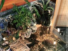 -锅十二涮肉馆·鞭蛋锅