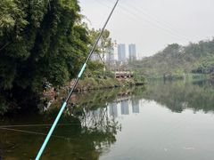 -重庆彩云湖湿地公园