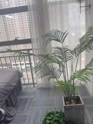 -AM半永久纹眉
