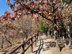 -北京十三陵国家森林公园蟒山景区