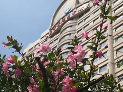 -兰溪青年公园