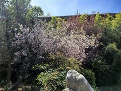 -韩城古城