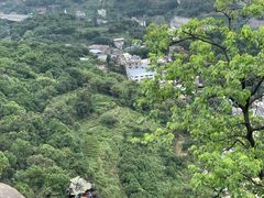 -南山植物园