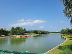 -羊亭河湿地公园