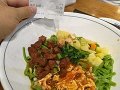 -秦君宝手擀菠菜面(金花路店)