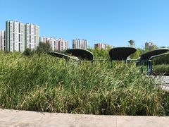 -永定河休闲森林公园