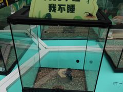 -中国杭州低碳科技馆