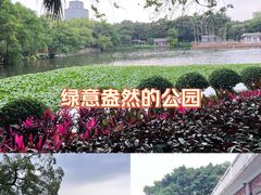 -荔湾湖公园