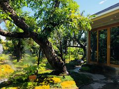 -Chom Cafe and Restaurant