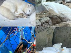-海合安青岛极地海洋公园