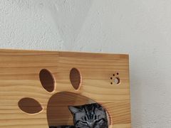 -藏猫猫咖啡主题馆(中央大道店)