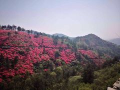 -木兰云雾山
