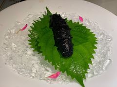-觀芷隐轩