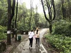 -华溪森林公园-售票处