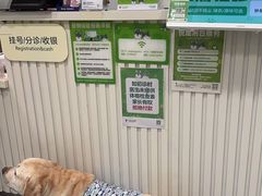 -悦宠动物医院(京丰分院)
