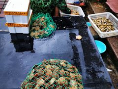 -北戴河庆山饭店·海鲜砂锅粥(北戴河黑石路店)