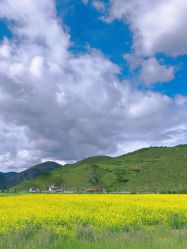 -纳帕海依拉草原