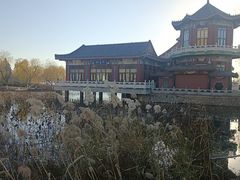 -天津水上公园